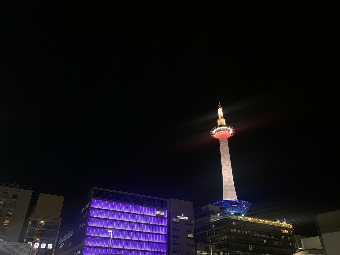 京都旅行記（日帰り散策version）