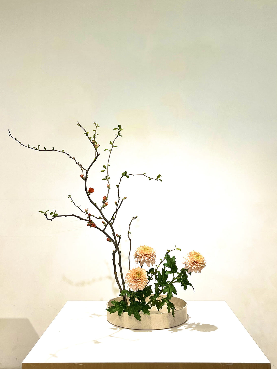 7月の「いけばなワークショップ」開催のお知らせ