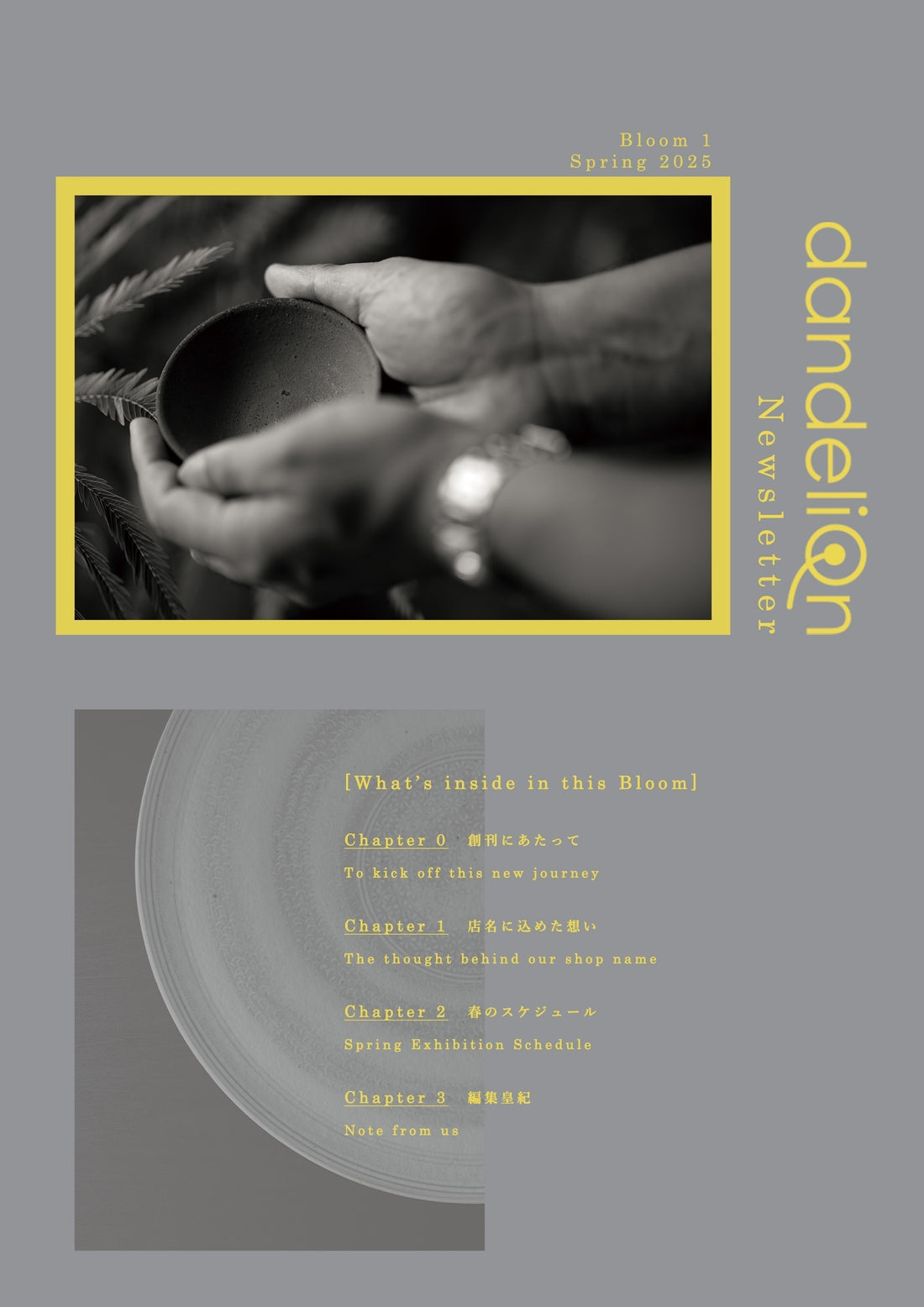 「dandeliOn Newsletter 」創刊のお知らせ