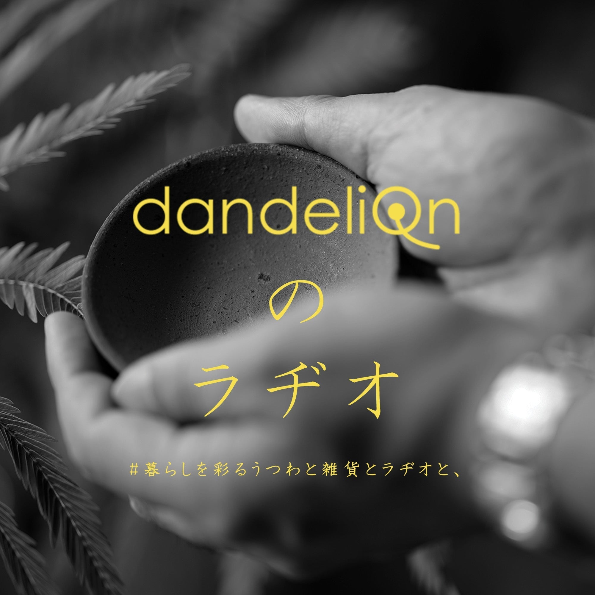 Podcast番組「dandeliOnのラヂオ」スタート！