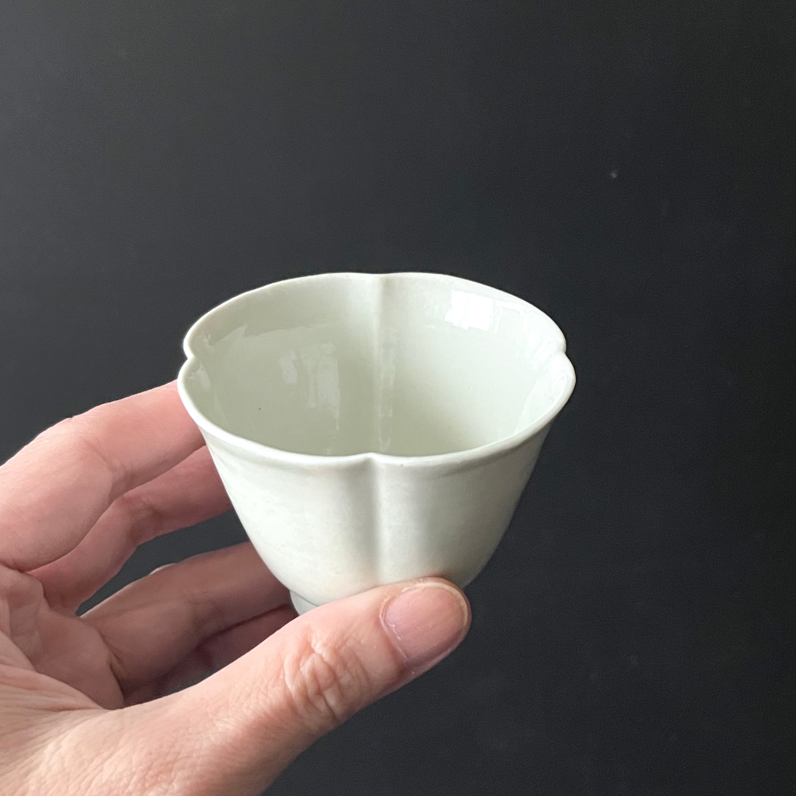 白磁杯 - dandeliOn