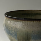 つぶ化粧緑釉ボウル - dandeliOn