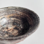 ぐい吞 - dandeliOn