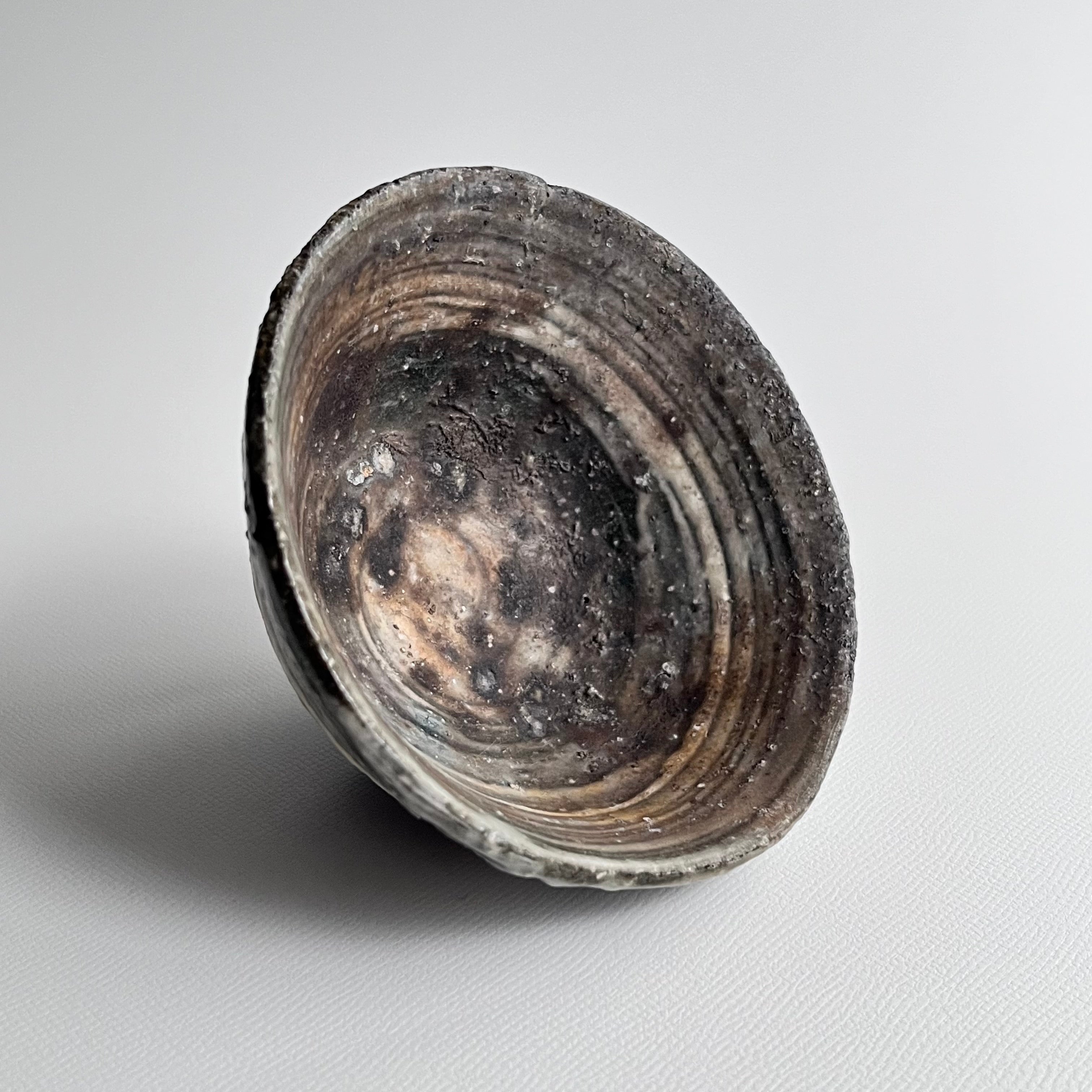 ぐい吞 - dandeliOn