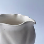 白花片口 - dandeliOn