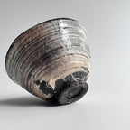 ぐい吞 - dandeliOn