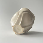 白花盃 - dandeliOn