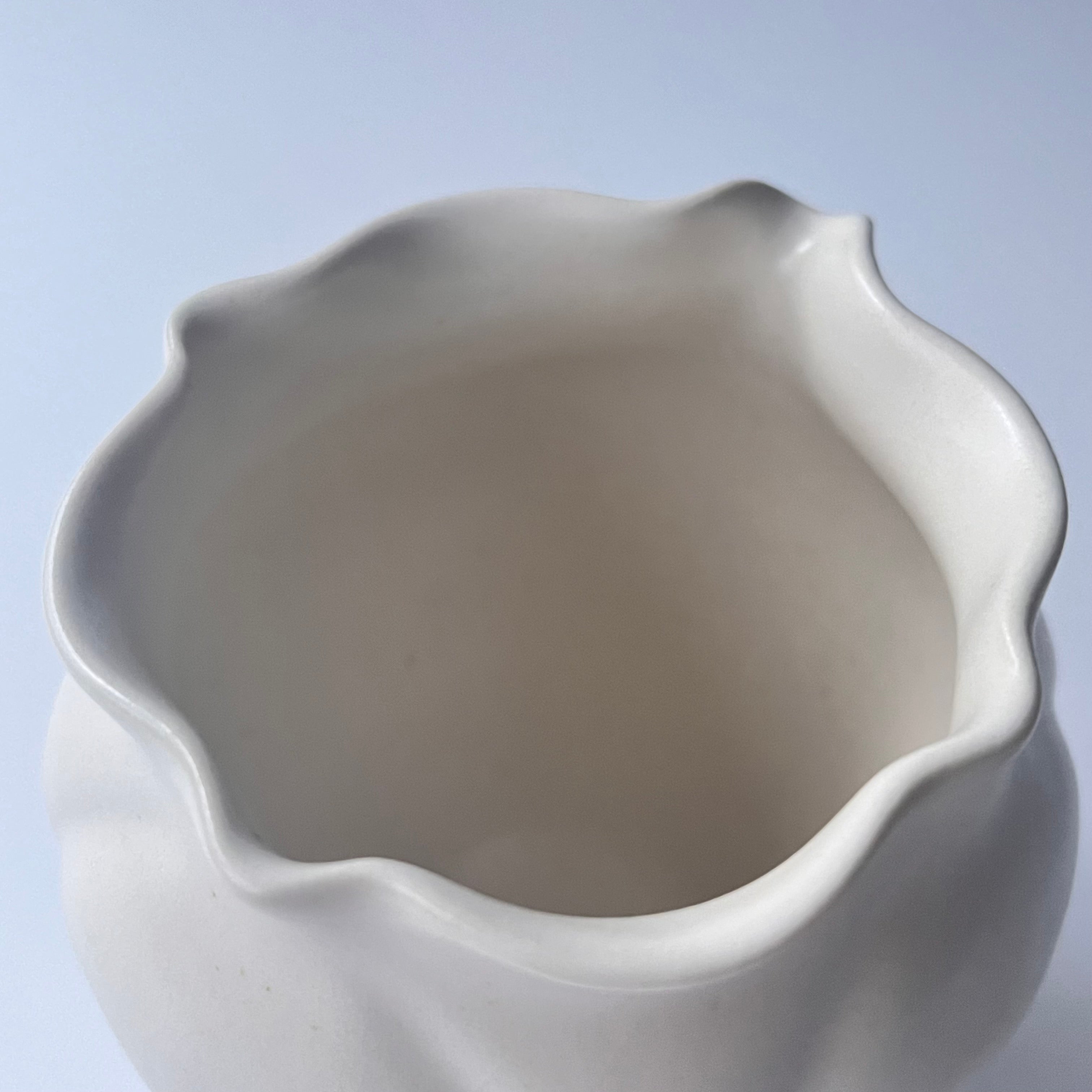 白花片口 - dandeliOn