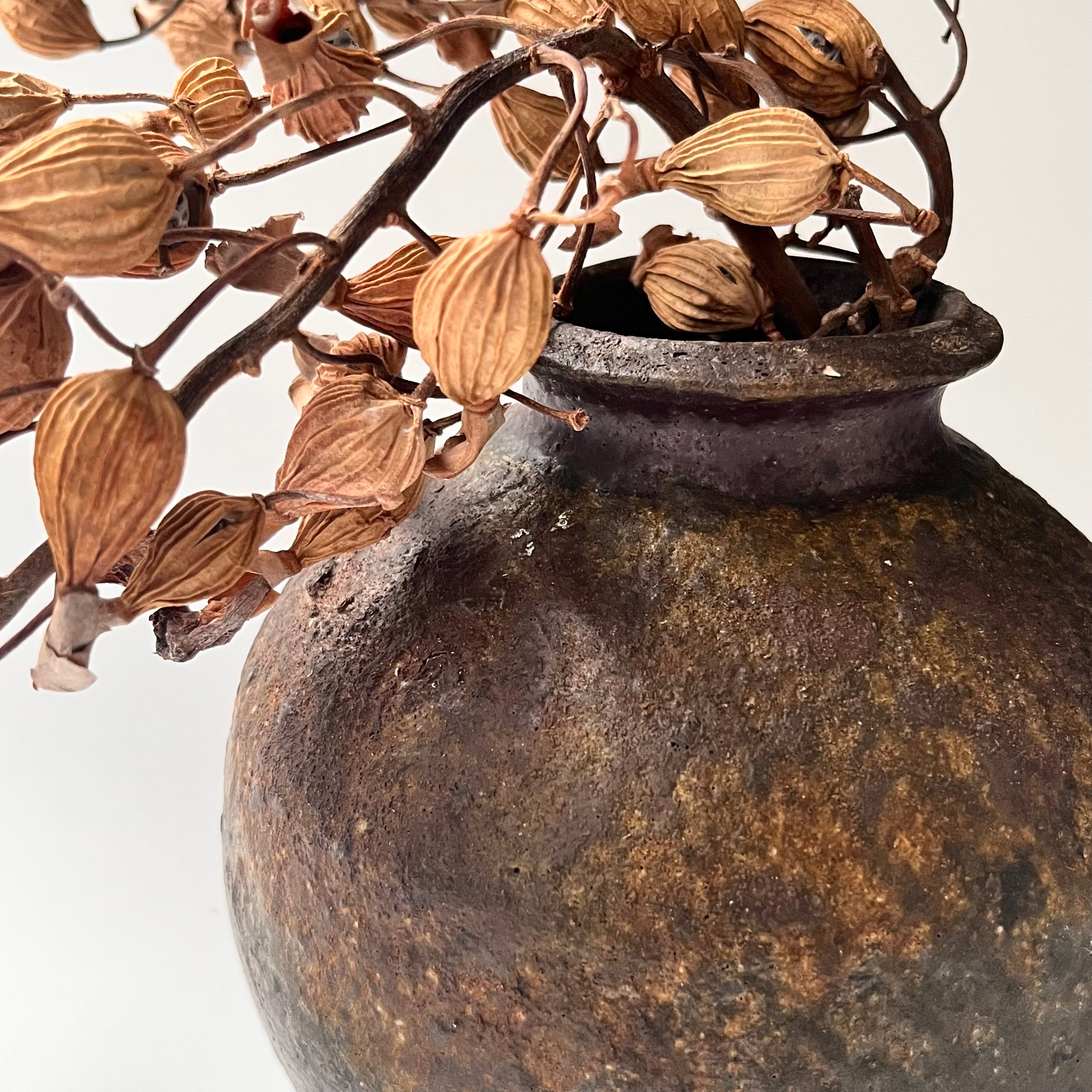 自然釉 黒蹲 | 津金日人詩 | 通販 – dandeliOn