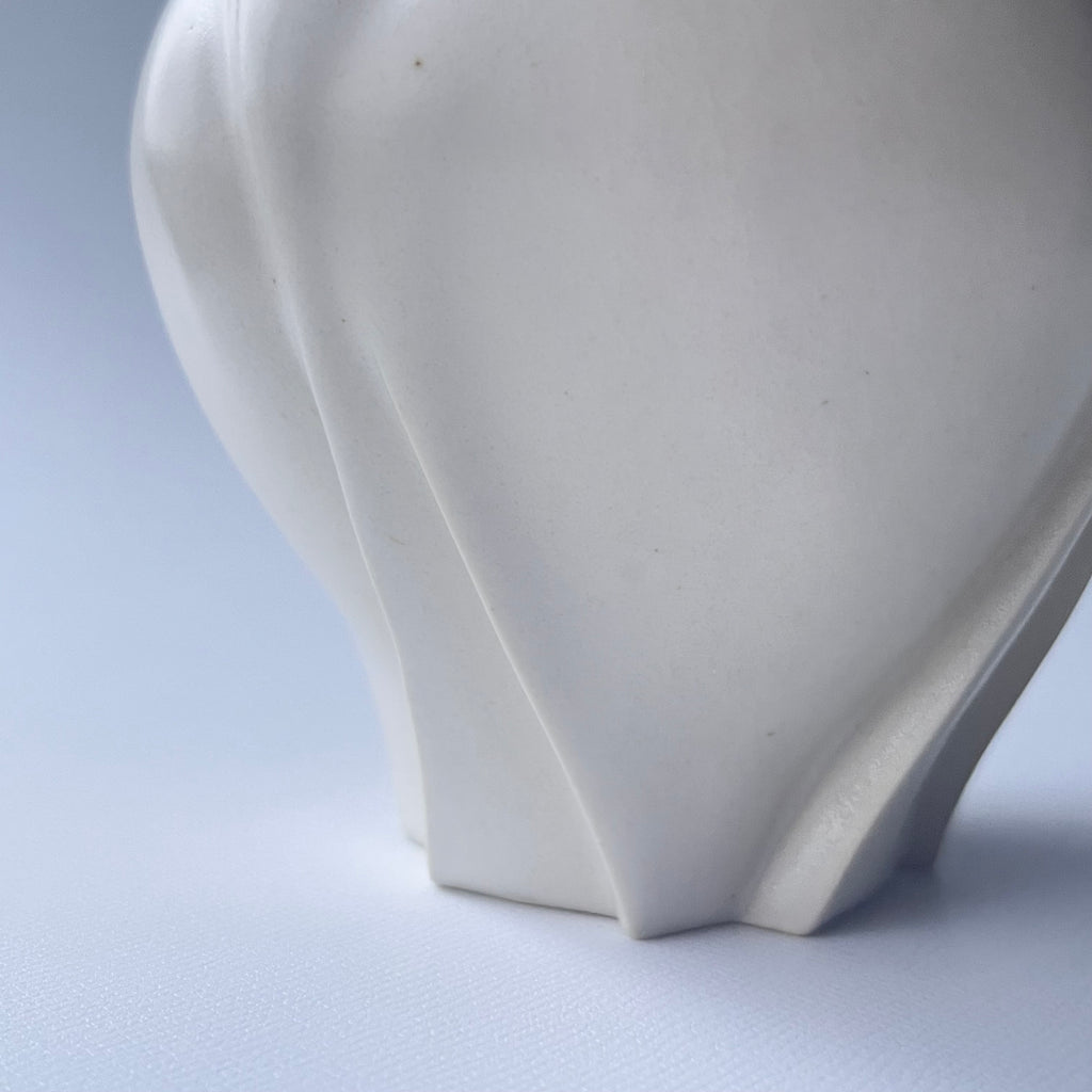 白花片口 - dandeliOn