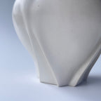 白花片口 - dandeliOn