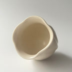 白花盃 - dandeliOn