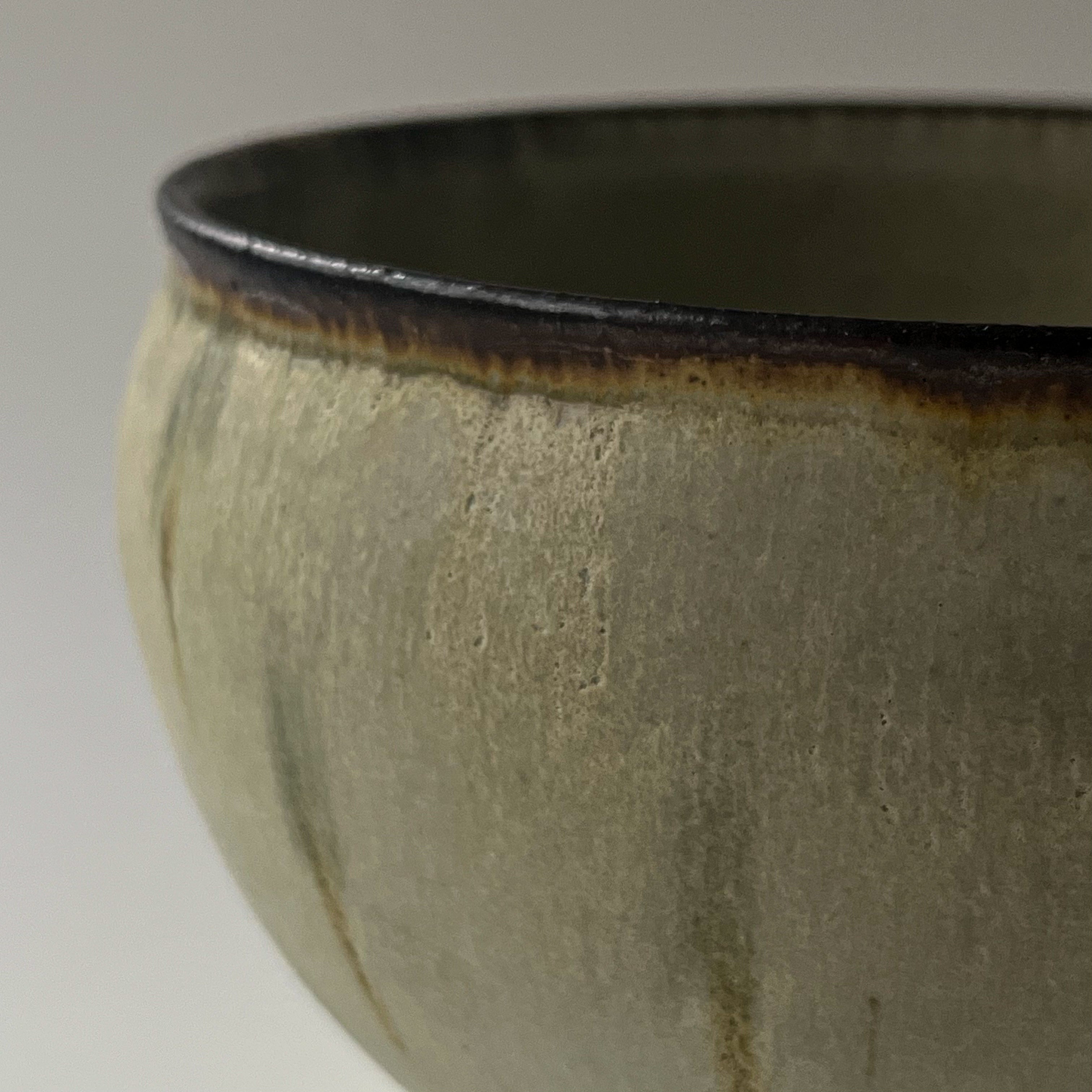 つぶ化粧緑釉ボウル - dandeliOn