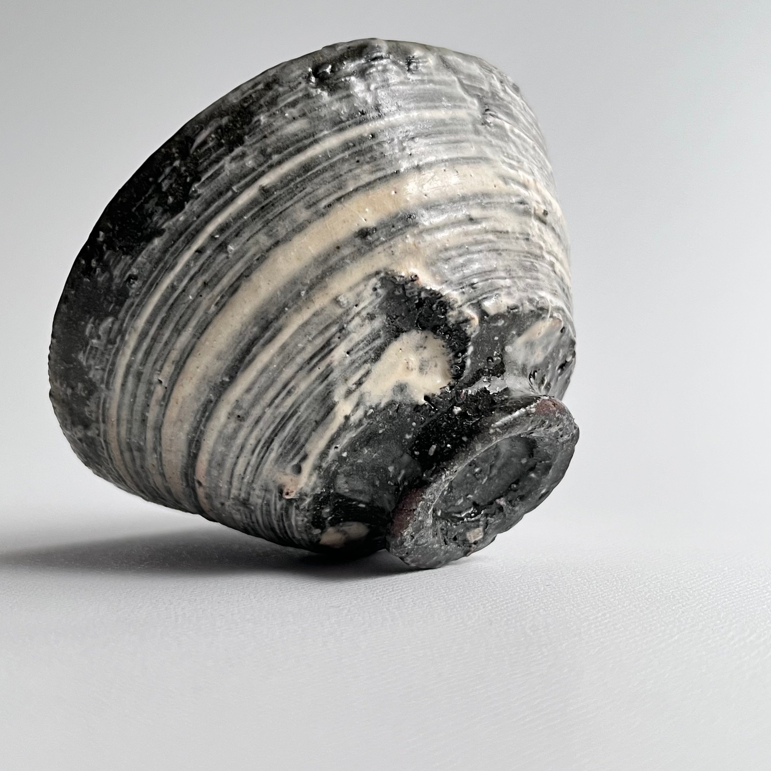 ぐい吞 - dandeliOn