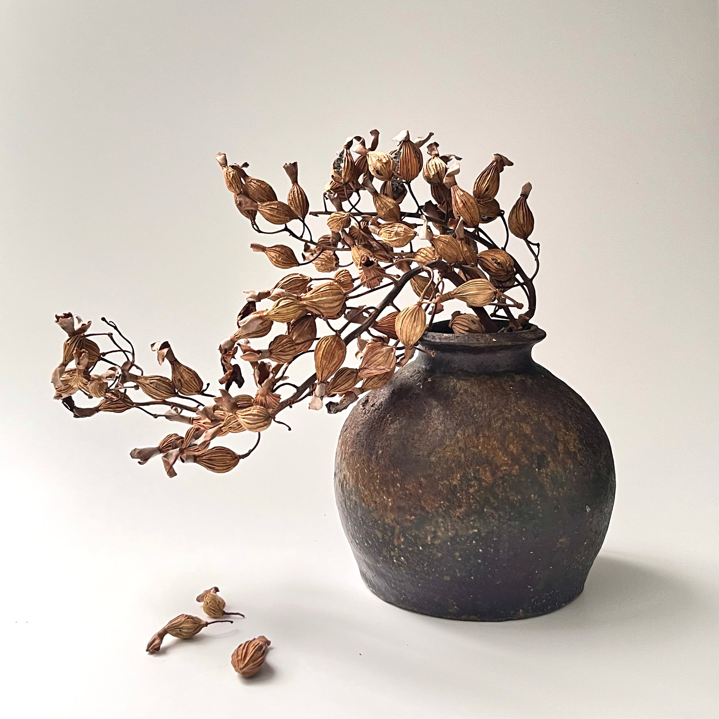 自然釉 黒蹲 | 津金日人詩 | 通販 – dandeliOn