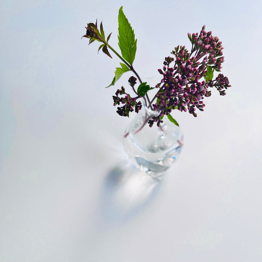 pip vase