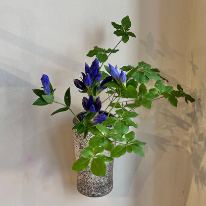 三島掛花入