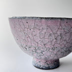 白灰飯碗 - dandeliOn