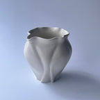 白花片口 - dandeliOn