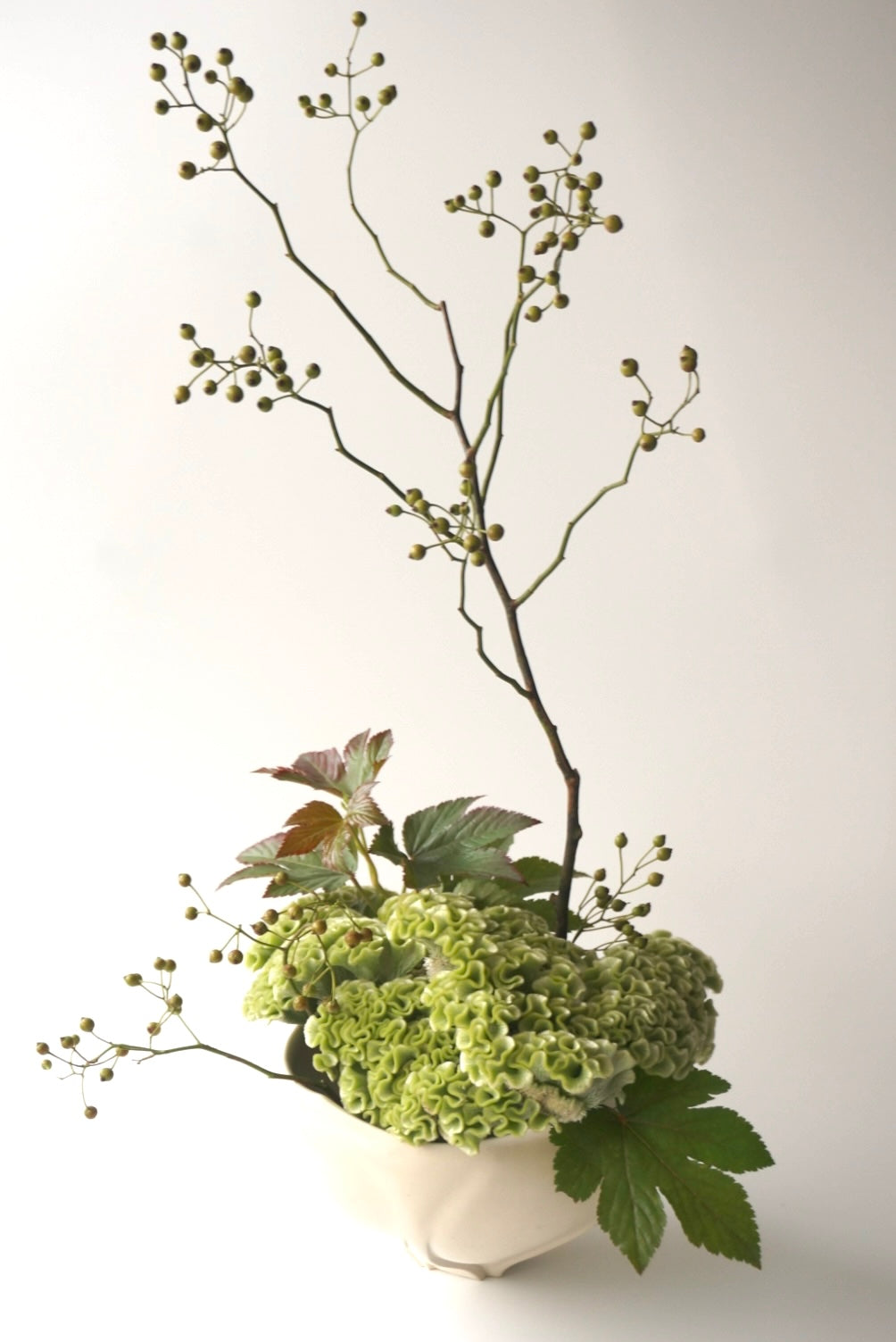 白花鉢