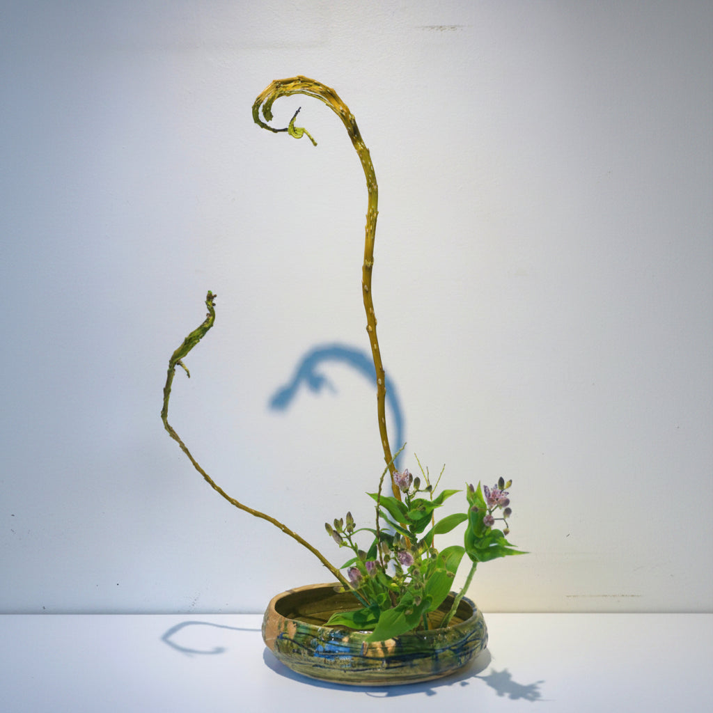 いけばな体験ワークショップ - dandeliOn