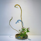 いけばな体験ワークショップ - dandeliOn