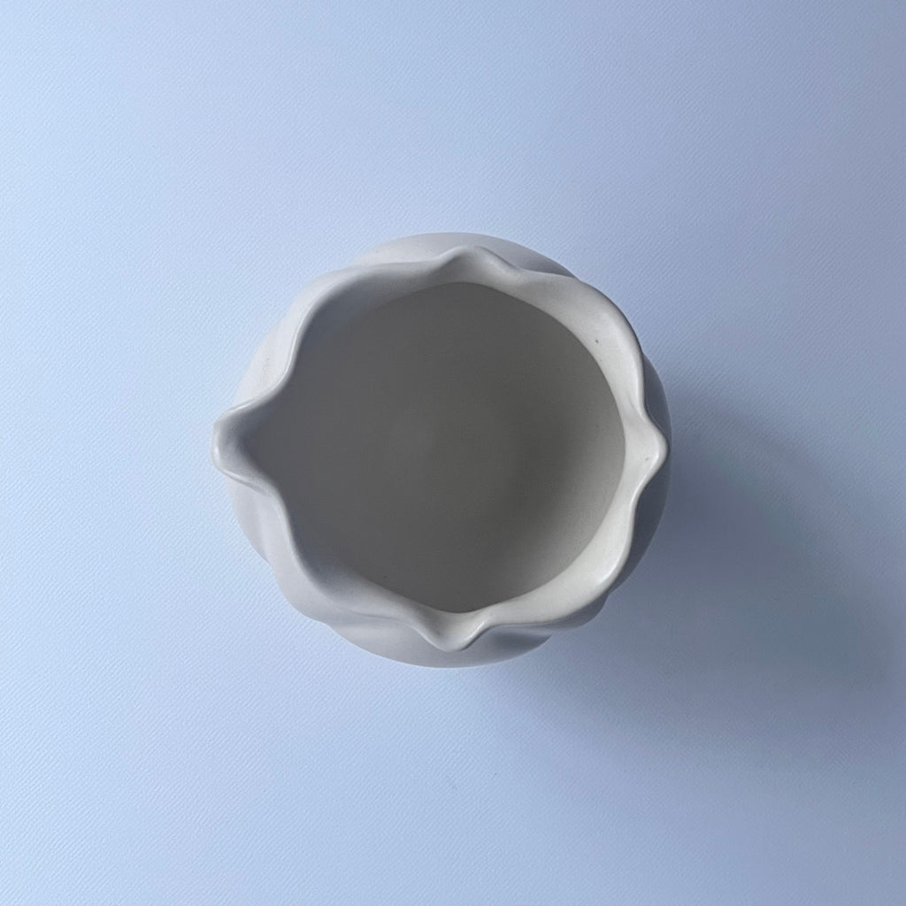 白花片口 - dandeliOn