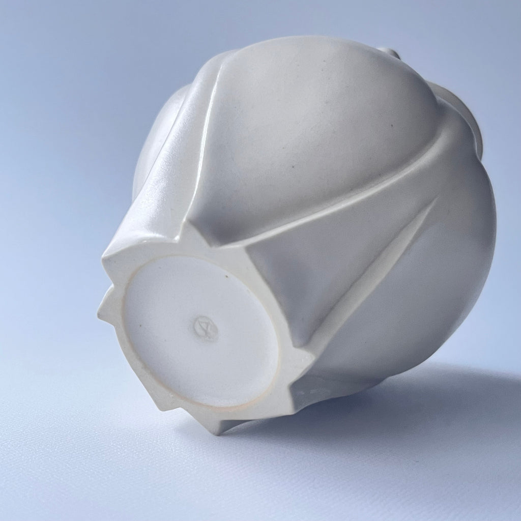 白花片口 - dandeliOn