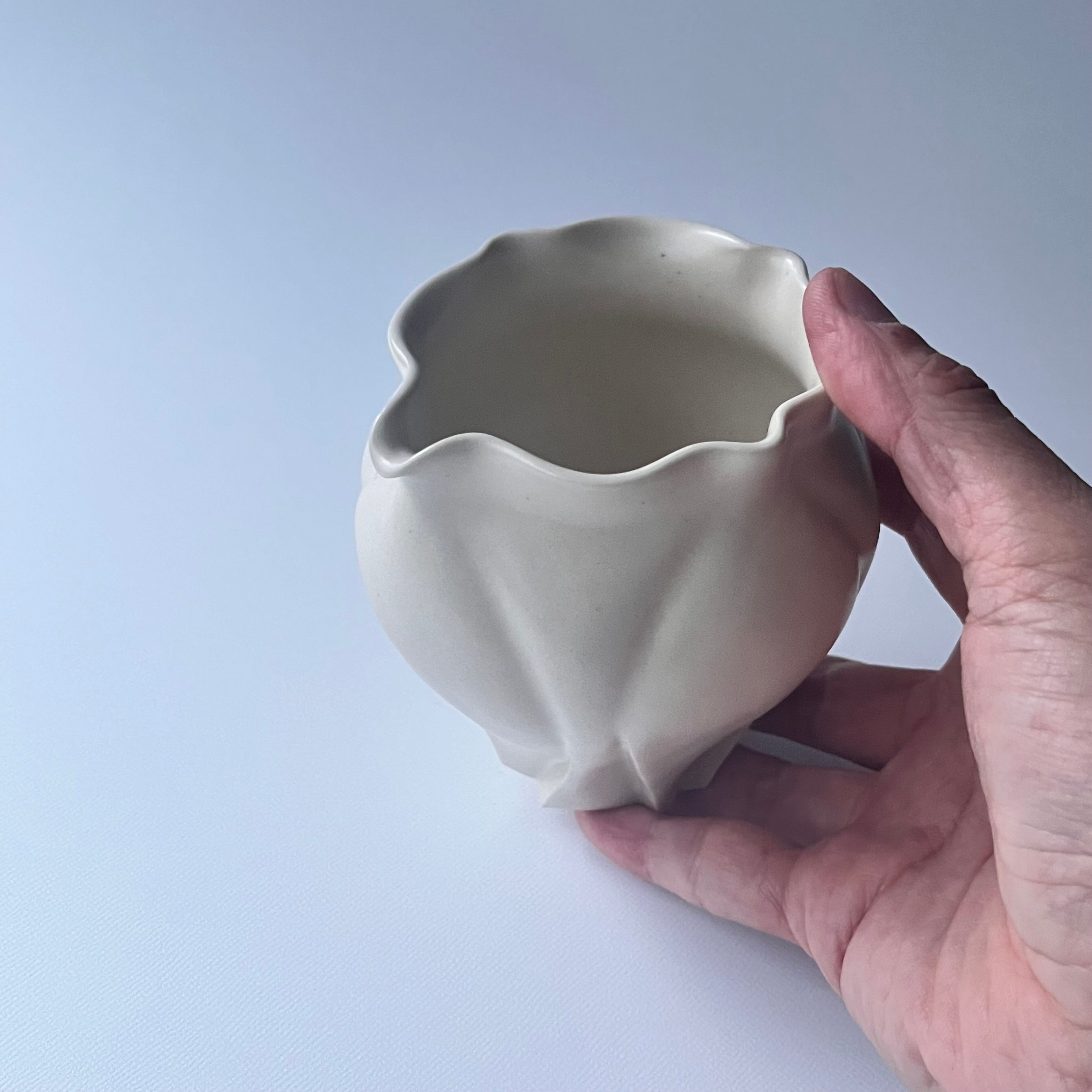 白花片口 - dandeliOn