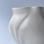 白花片口 - dandeliOn