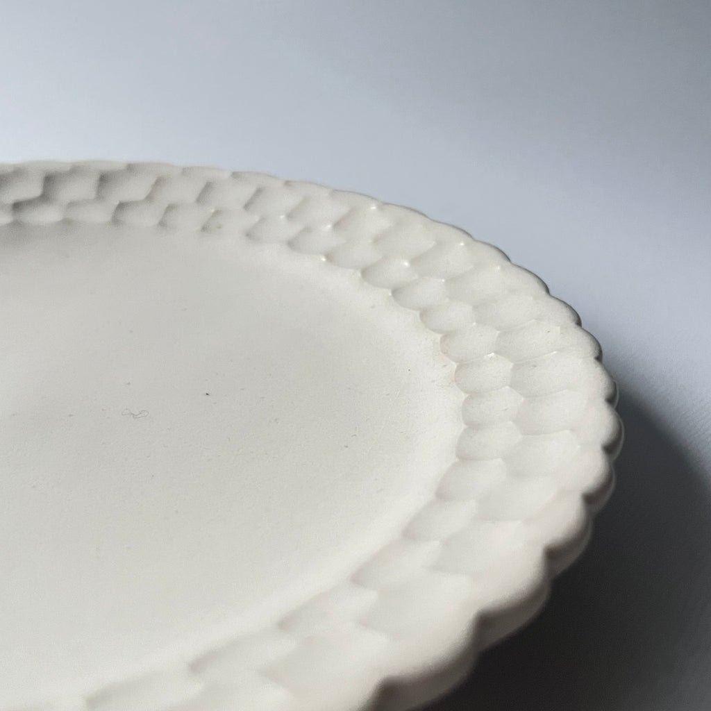 リム皿 M - dandeliOn