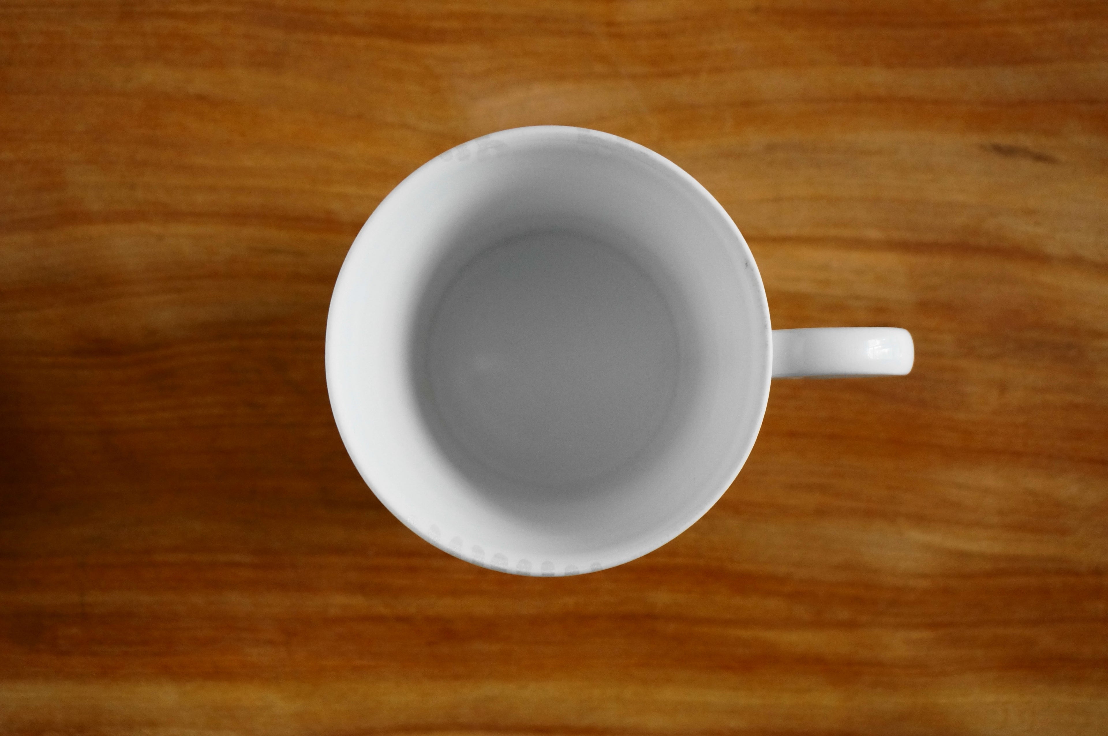 線彫コーヒーカップ 海松紋シルバー - dandeliOn