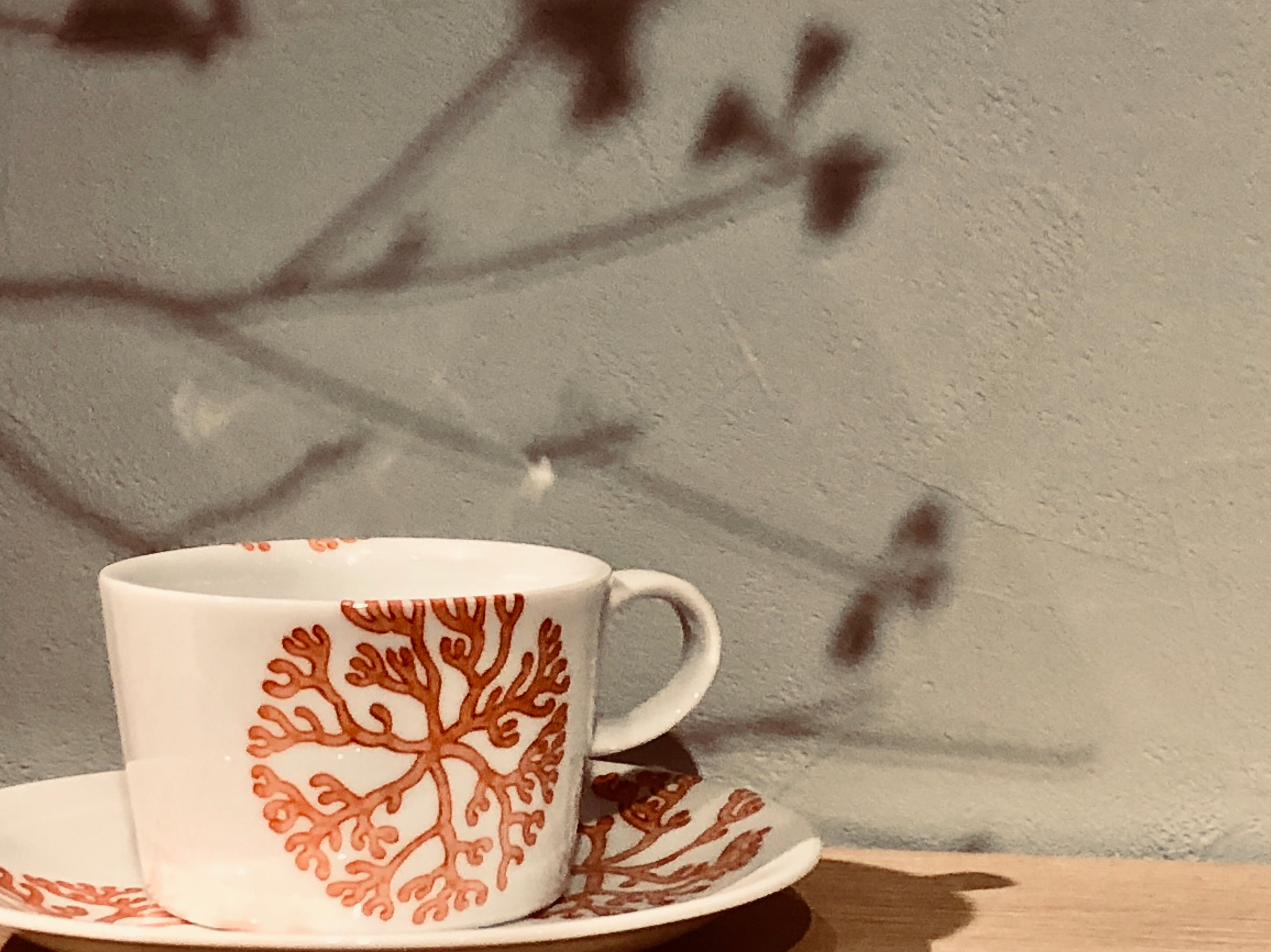 海松紋 平型コーヒーセット - dandeliOn